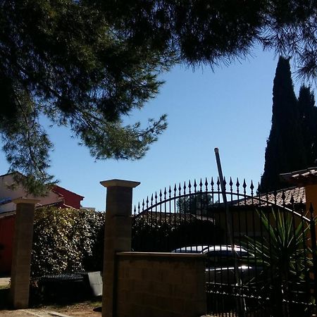 Chambres De La Terre Blanche Sanary-sur-Mer Ruang foto