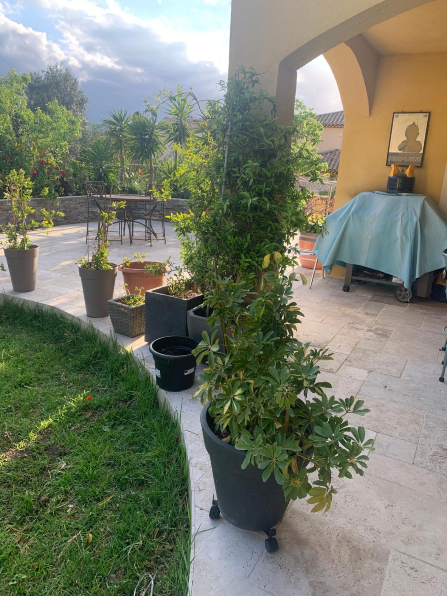 Chambres De La Terre Blanche Sanary-sur-Mer Bagian luar foto
